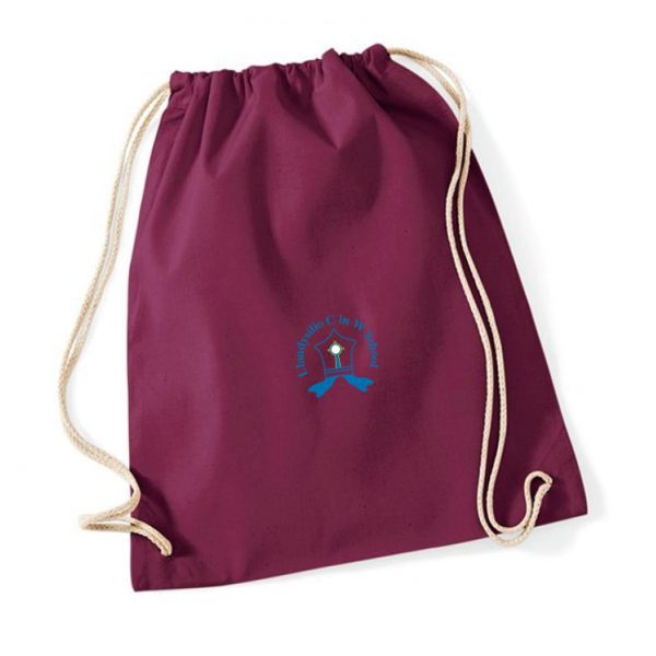 llandysilio gym bag
